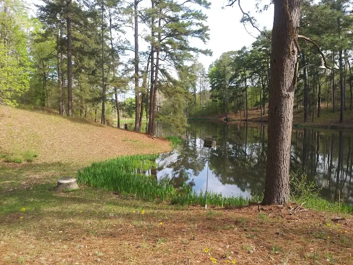Beech Springs Camp and Conference Center 7