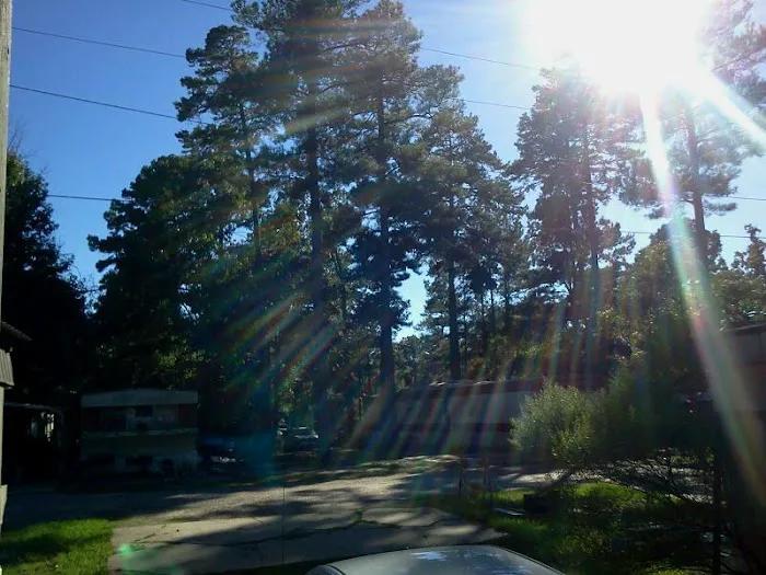 Pine Hill Mobile Home Park 6