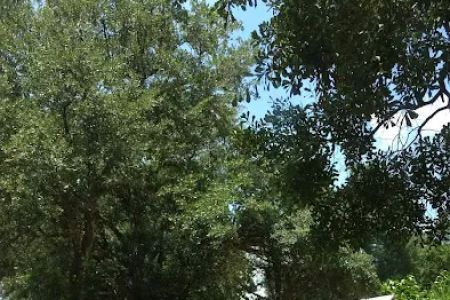 San Antonio Properties