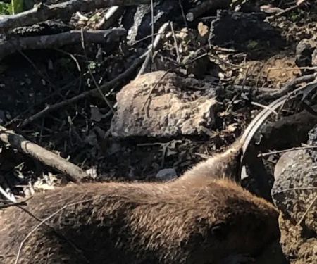 Cheniere Lake Mobile Home Park