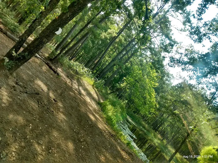 514-D White Rock Horse Camp 7