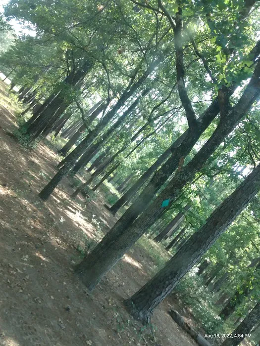 514-D White Rock Horse Camp 3