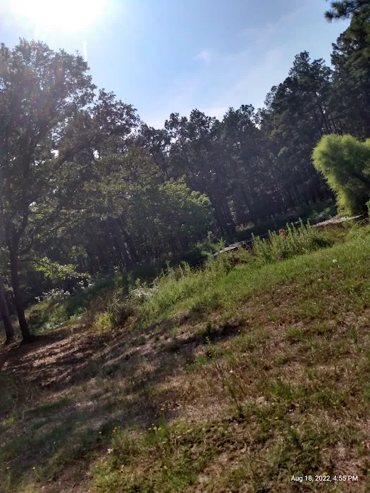 514-D White Rock Horse Camp 4