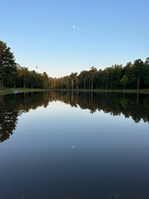 Magnolia Springs RV Park 7