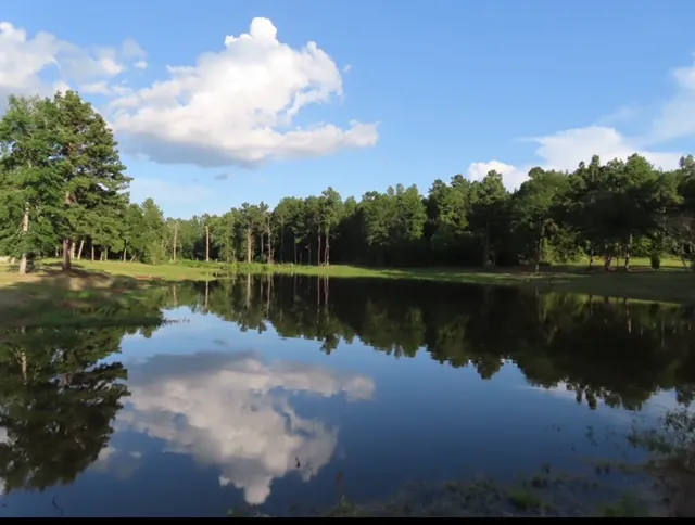 Magnolia Springs RV Park 9