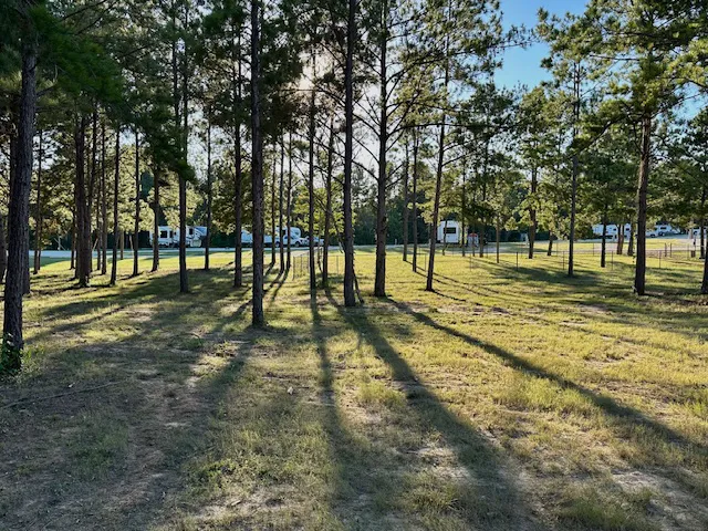 Magnolia Springs RV Park 5