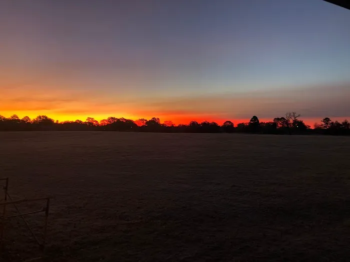 Pecan Place RV Park 5