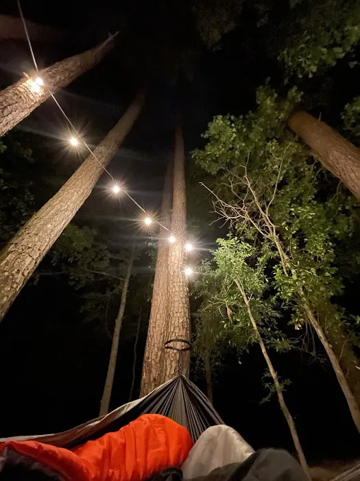 Rustic Pine RV Resort 2