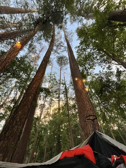 Rustic Pine RV Resort 5