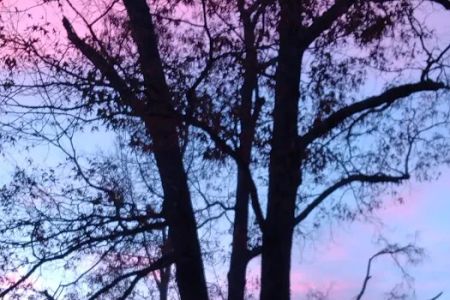 Risen Son RV Park