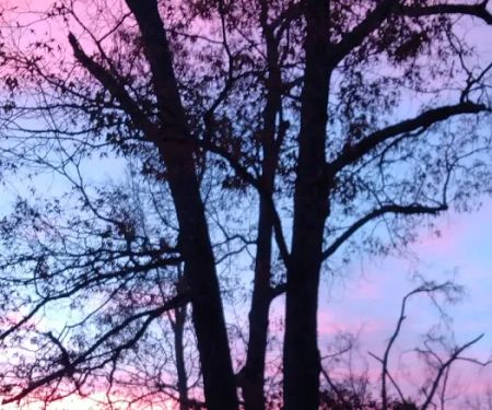 Risen Son RV Park