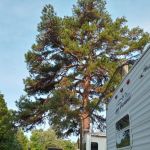 Dun Roamin' RV Park
