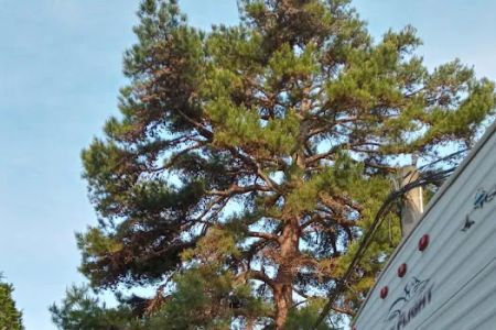 Dun Roamin' RV Park