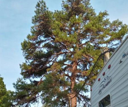 Dun Roamin' RV Park
