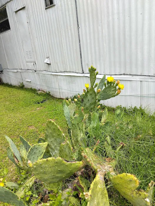 Meadow Oaks Mobile Home 2