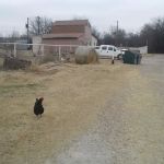 Lee's Country Campground