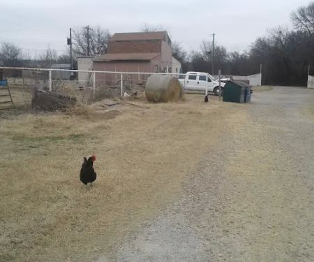 Lee's Country Campground