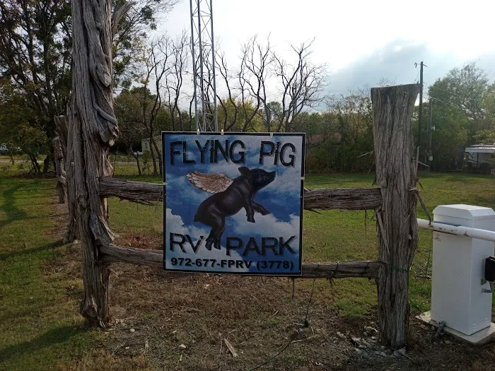 Flying Pig RV Park 6
