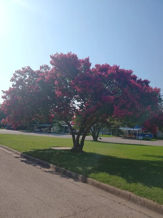 La Casita Mobile Home Community 7