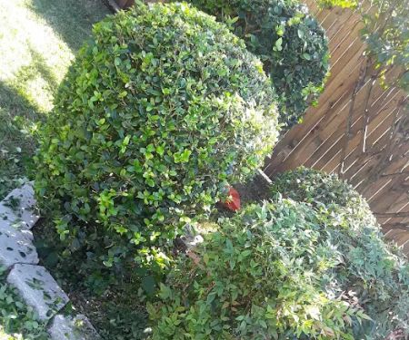 North Richland Hills Mobile Home Park