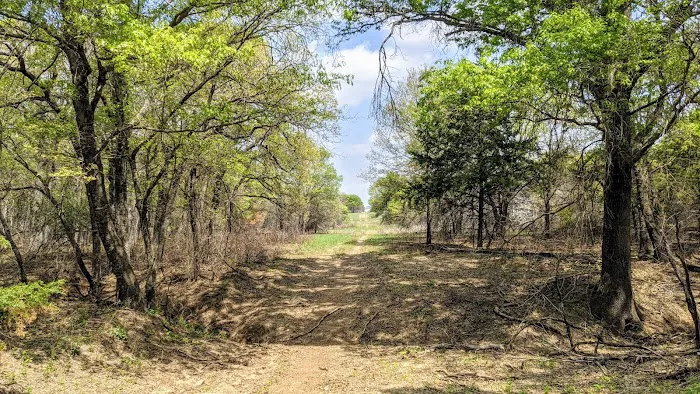 LBJ Grasslands 5