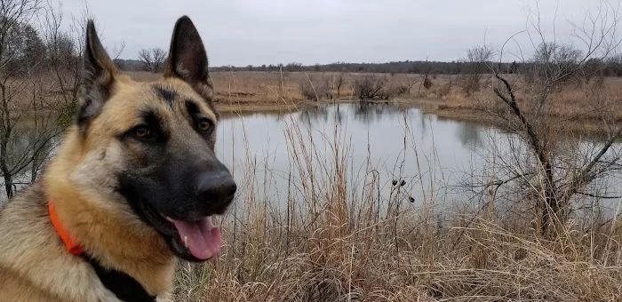 LBJ Grasslands 9