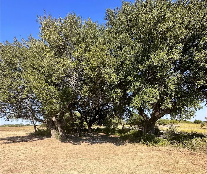 LBJ Grasslands 8