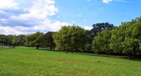 MIMOSA VALLEY RV PARK Decatur TX Gated LONG-TERM RV parking BY APPOINTMENT 9