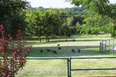 Double Duty Ranch RV Park Decatur TX (GATED) BY APPOINTMENT ONLY 10