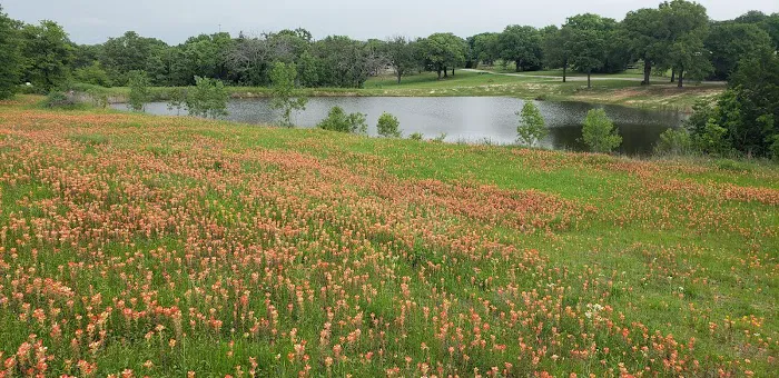 Brushy Creek RV Park 2