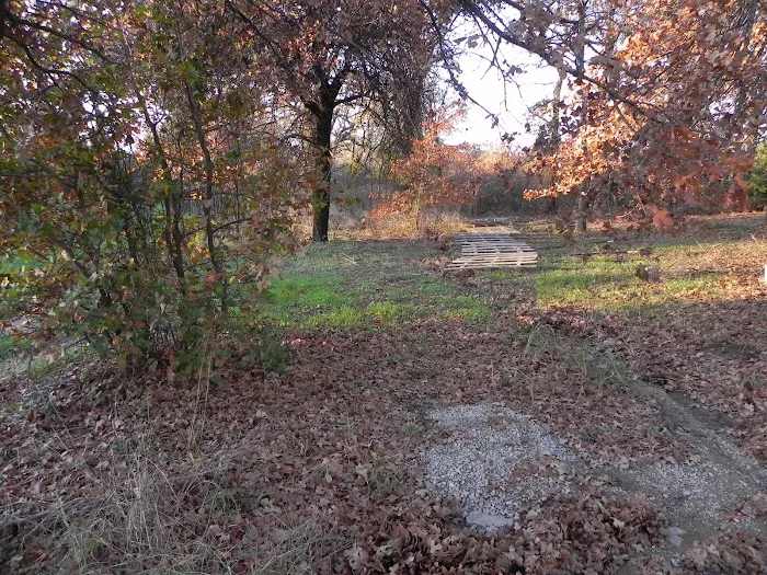 Alvord Oaks RV Park 5