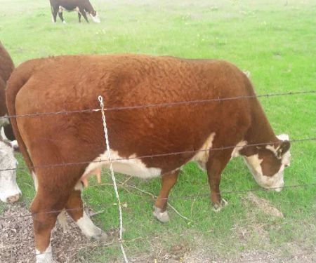 Parkerville East Mobile Home Park