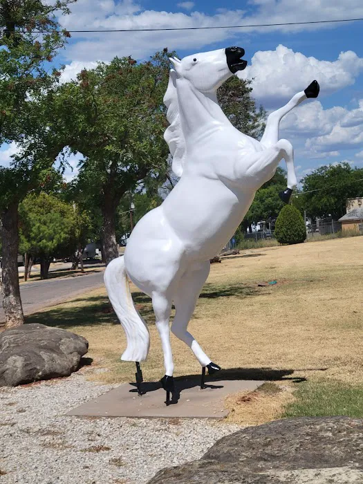 Wichita Falls RV Park 2