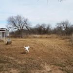 Stonewall Jackson Campground