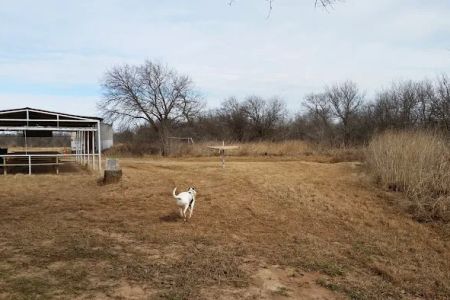Stonewall Jackson Campground