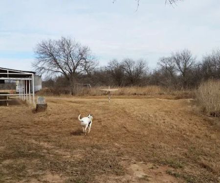 Stonewall Jackson Campground