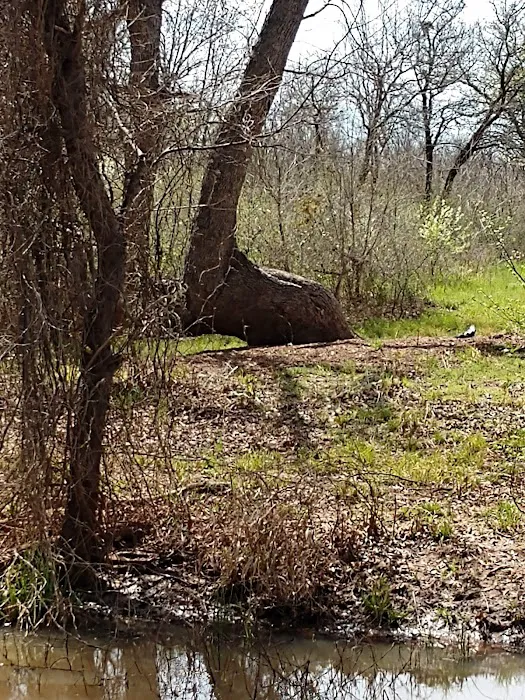Stonewall Jackson Campground 3