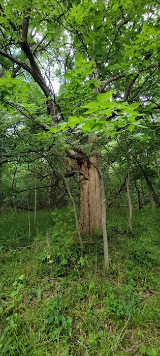Walnut Grove Campground 6
