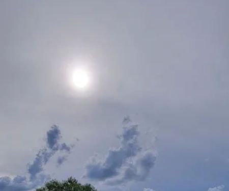 Walnut Grove Campground