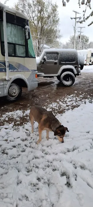 Shandy's Lakeside RV Park 3