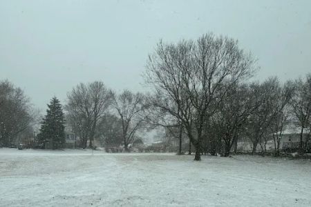 Shandy's Lakeside RV Park