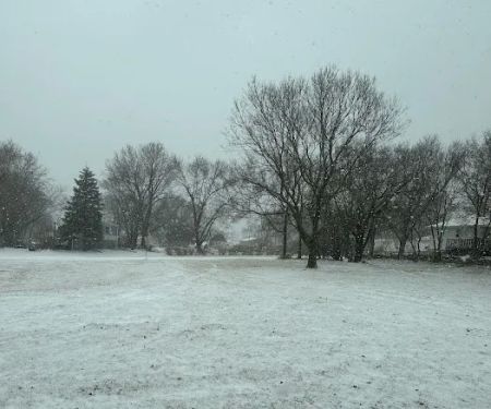 Shandy's Lakeside RV Park