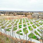 Natchitoches Pecan Orchard RV Park