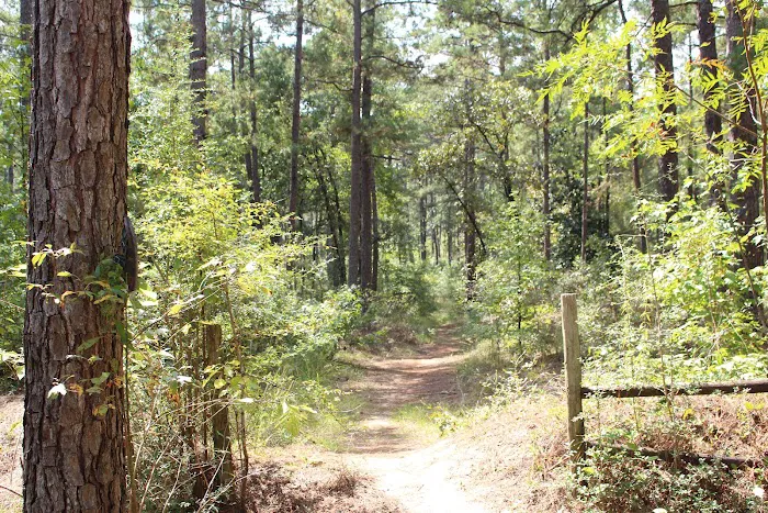 Red Bluff Campground 2