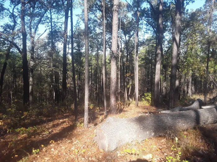 Corral Camp 9