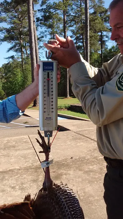 US Forestry Department 1