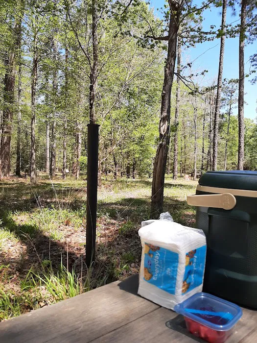 US Forestry Department 2