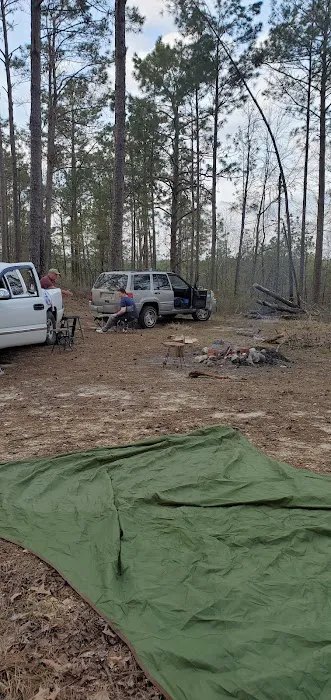 Coyote Campground, Kisatchie National Forest 1
