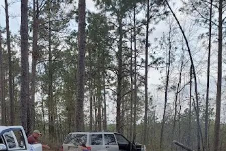Coyote Campground, Kisatchie National Forest
