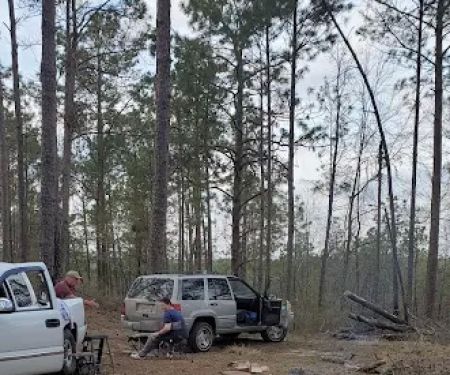 Coyote Campground, Kisatchie National Forest